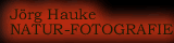 Internetseite J&ouml;rg Hauke